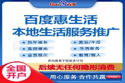 百度竞价代运营公司成功案例揭秘：策略与执行